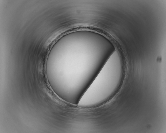 X0000112860969200908211051