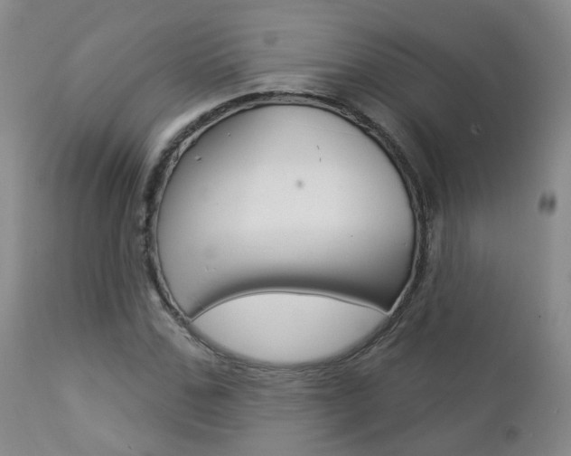 X0000112860971200908211051