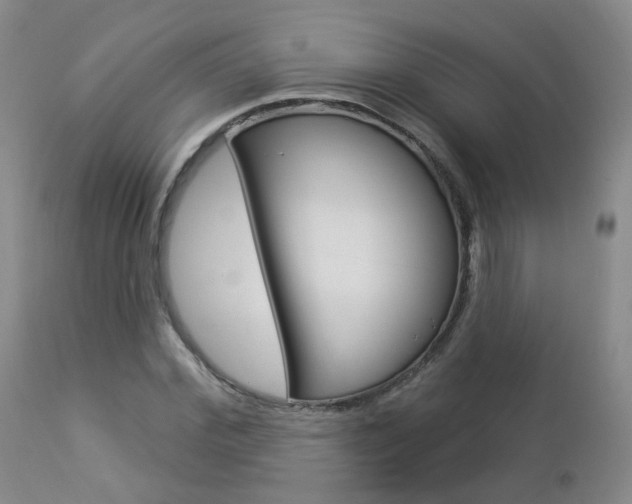 X0000112860972200908211051