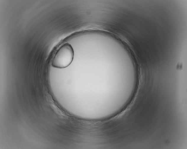 X0000112860973200908211051