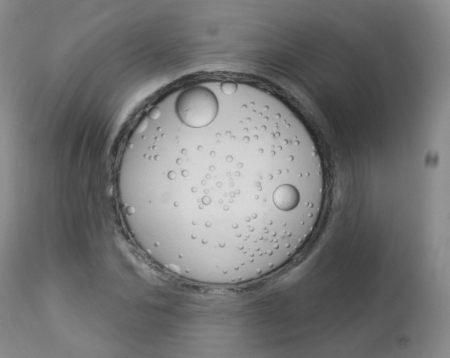 X0000112860974200908211051