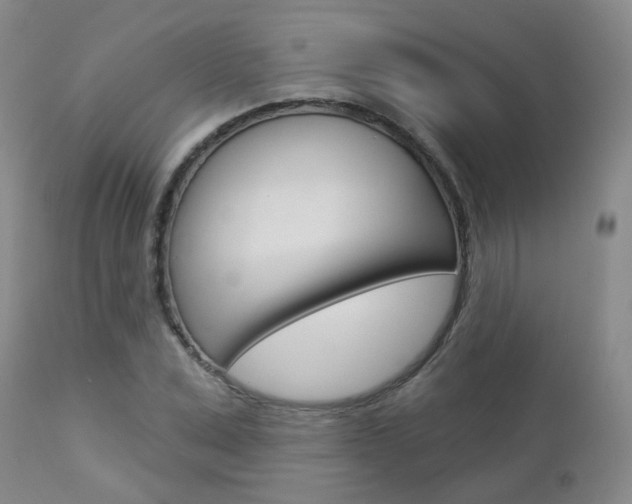 X0000112860975200908211051