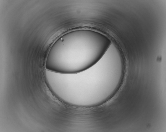 X0000112860977200908211051