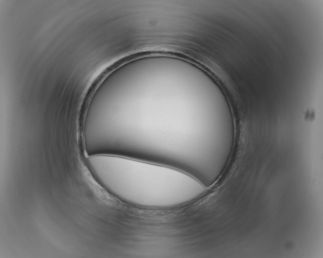 X0000112860980200908211051