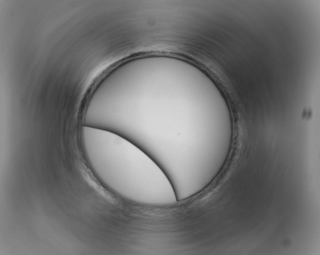 X0000112860982200908211051