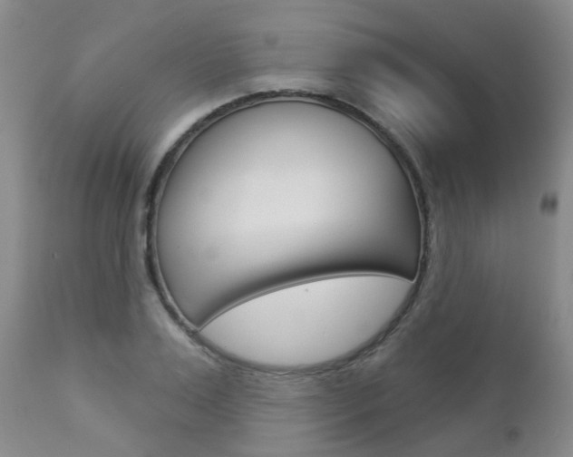 X0000112860983200908211051
