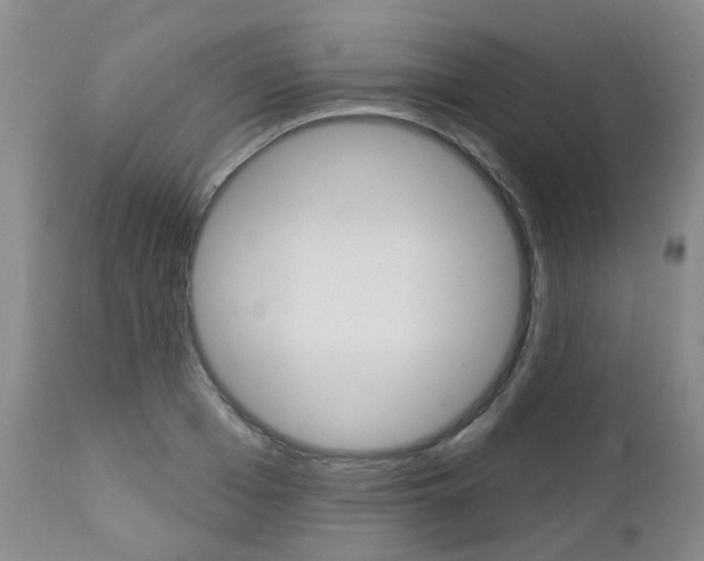 X0000112860985200908211051