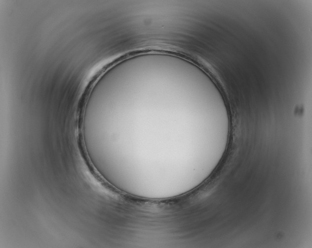 X0000112860987200908211051