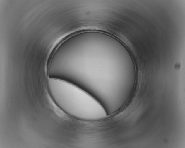 X0000112860988200908211051