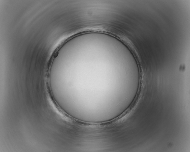 X0000112860989200908211051