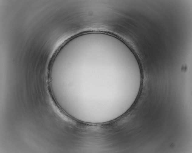 X0000112860990200908211051