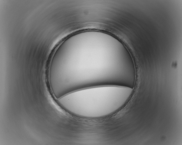 X0000112860991200908211051