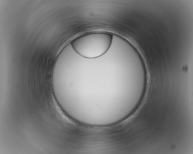 X0000112860993200908211051