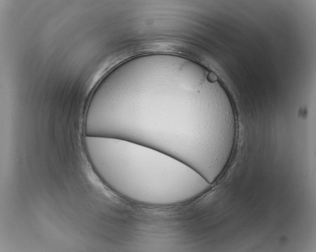 X0000112860994200908211051