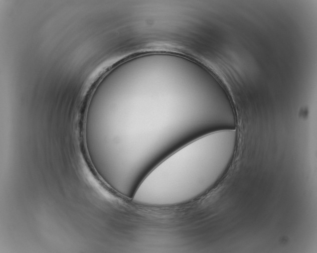 X0000112860995200908211051