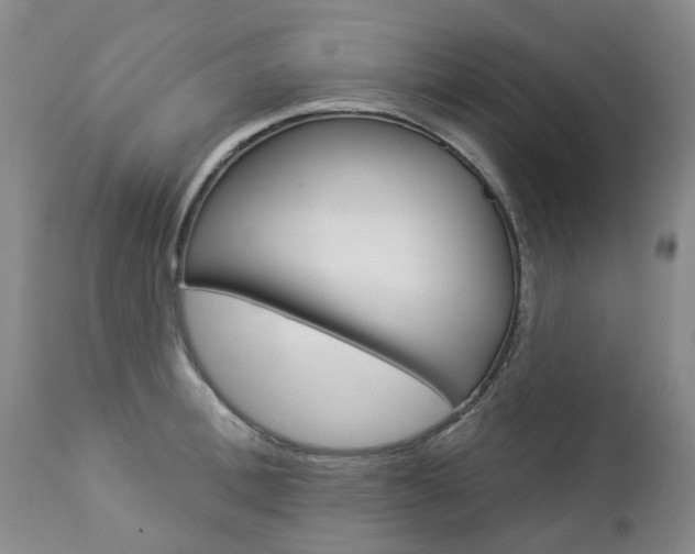 X0000112860996200908211051