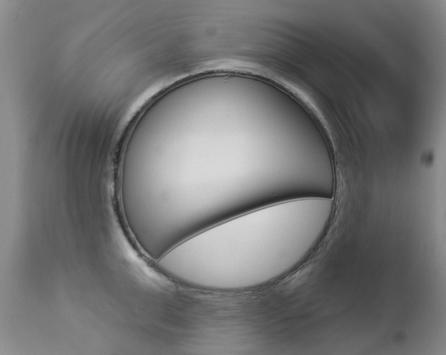 X0000112860999200908211051