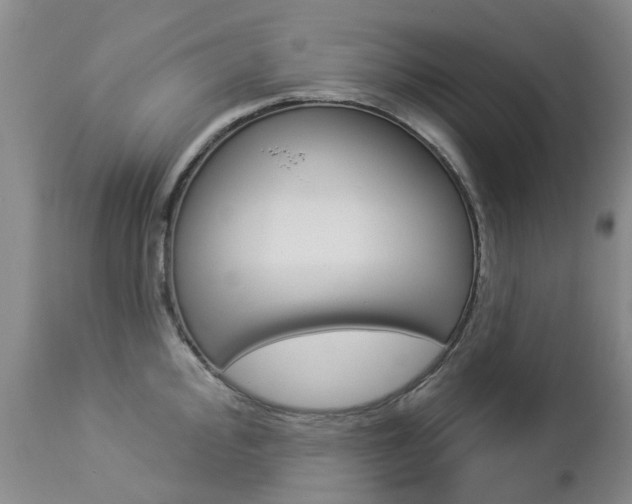X0000112861000200908211051