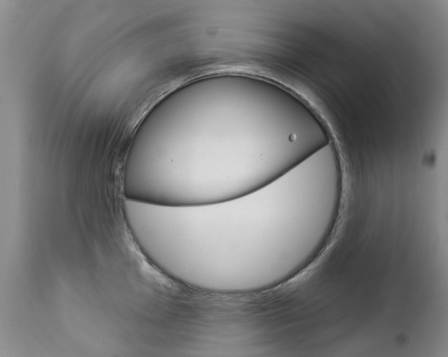 X0000112861001200908211051