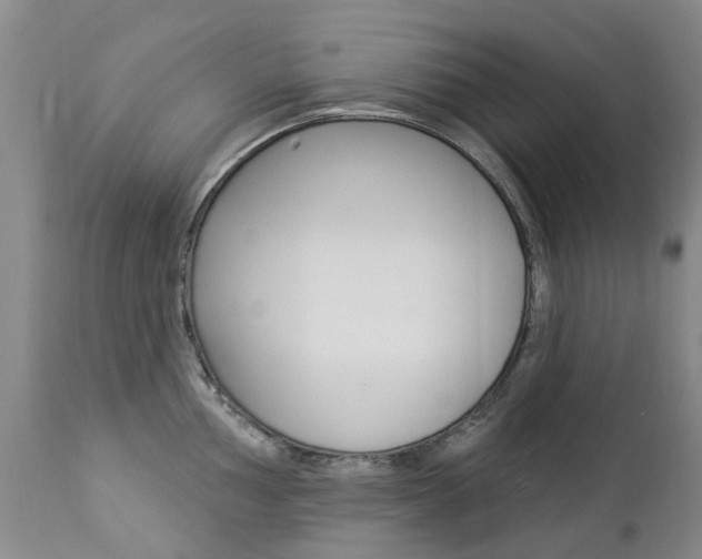 X0000112861002200908211051