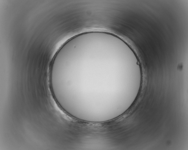 X0000112861006200908211051