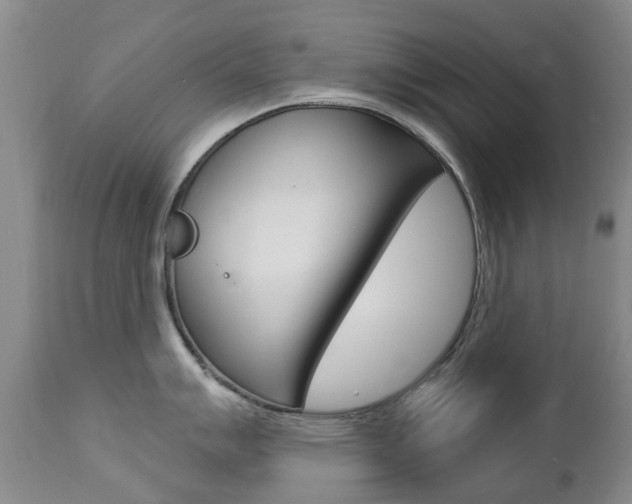 X0000112861007200908211051
