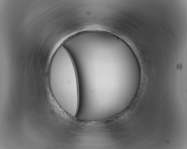 X0000112861008200908211051
