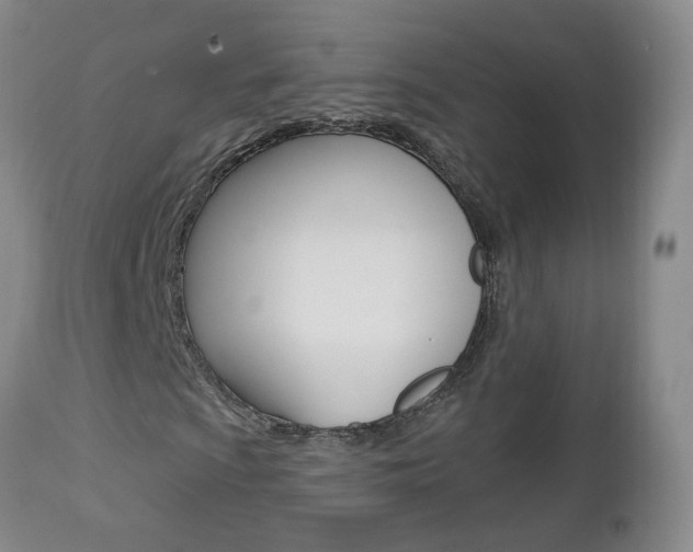 X0000112861009200908211050