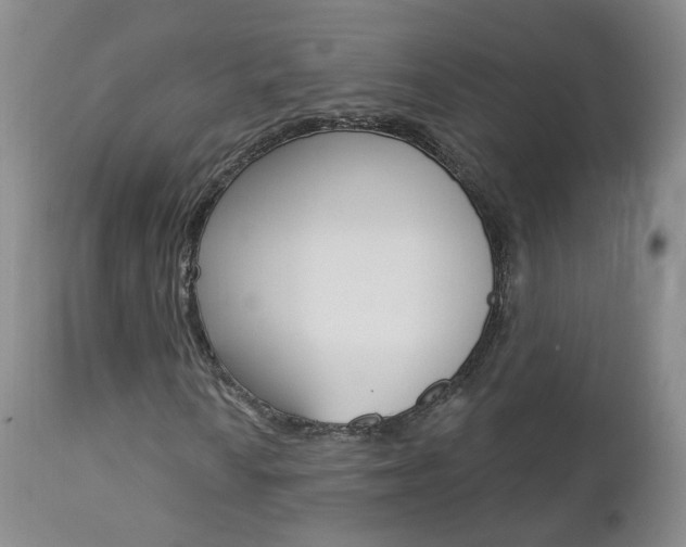 X0000112861010200908211050