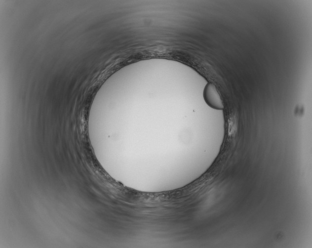 X0000112861011200908211050
