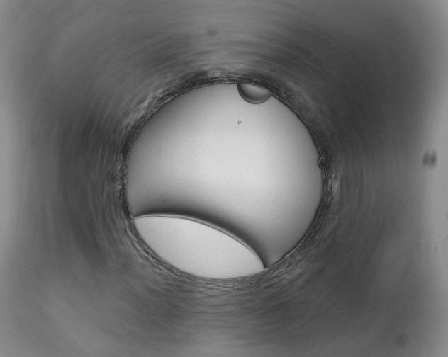 X0000112861012200908211050