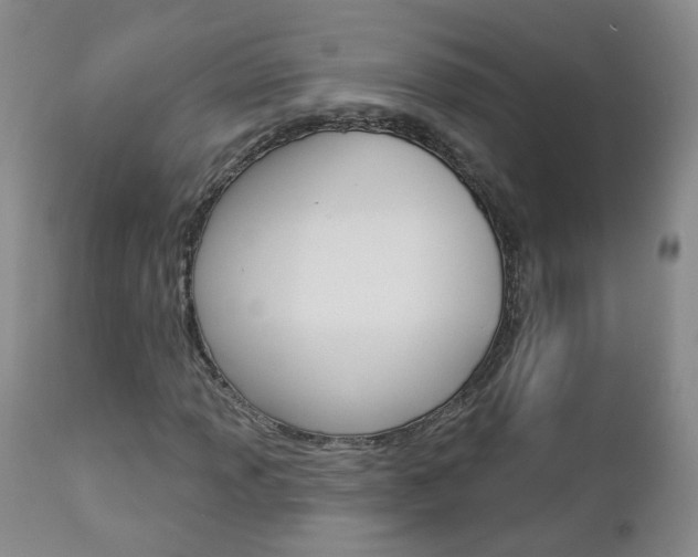 X0000112861013200908211050