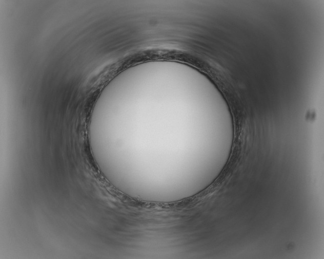 X0000112861014200908211050