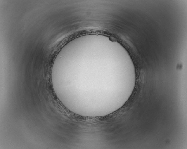 X0000112861015200908211050