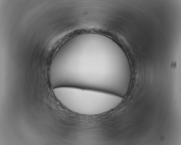 X0000112861016200908211050