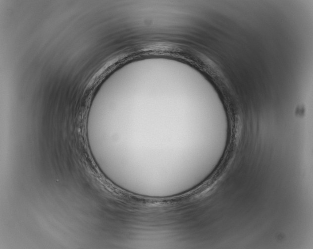 X0000112861017200908211050