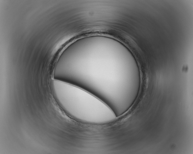 X0000112861018200908211050