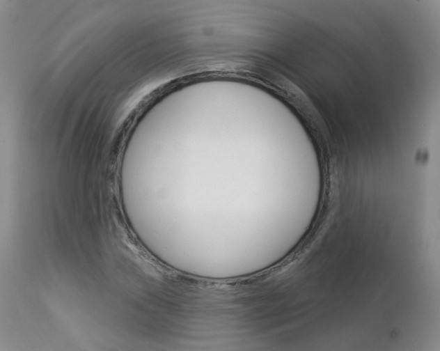 X0000112861019200908211050