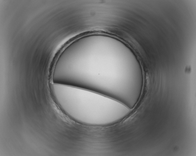 X0000112861020200908211050