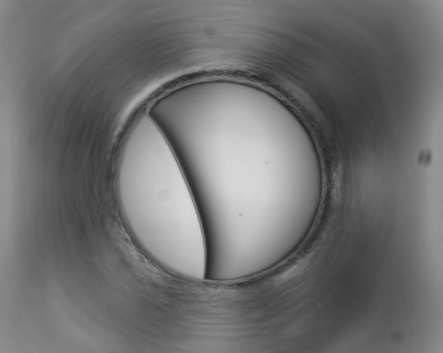 X0000112861021200908211050
