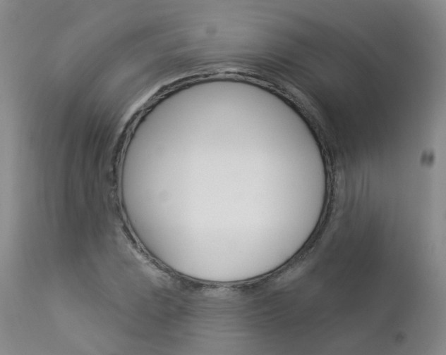 X0000112861023200908211050
