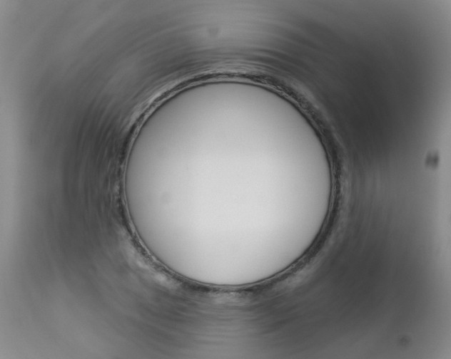 X0000112861025200908211050