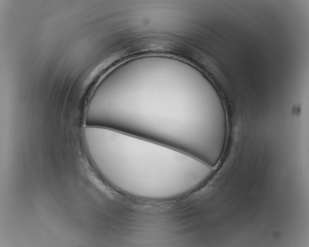 X0000112861026200908211050