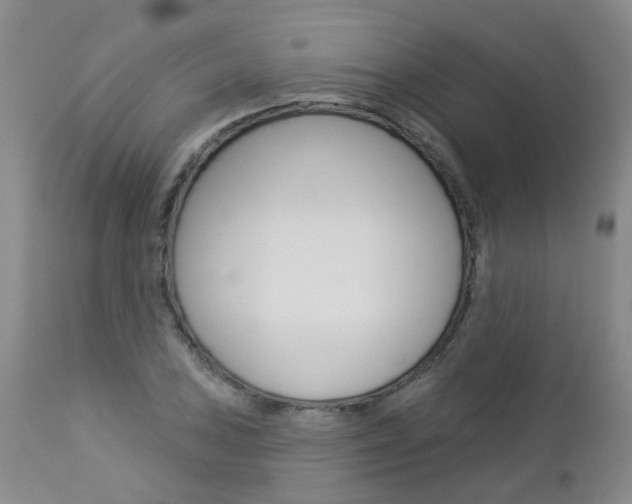 X0000112861027200908211050
