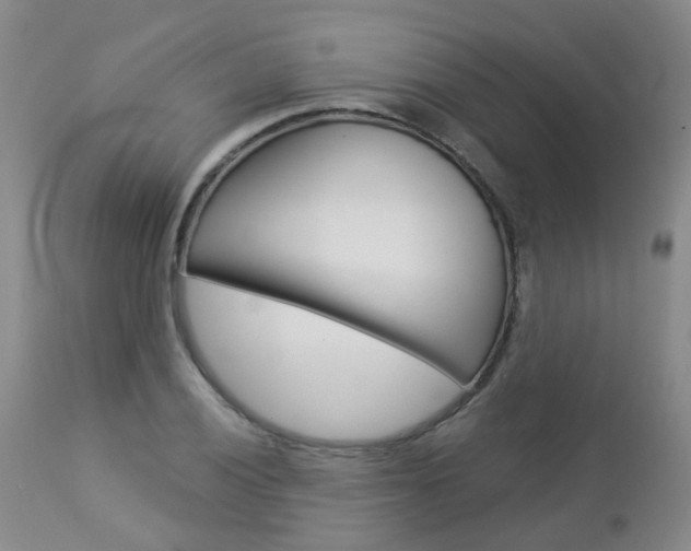 X0000112861028200908211050
