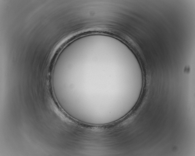 X0000112861029200908211050