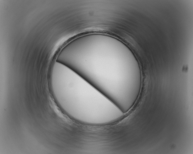 X0000112861030200908211050