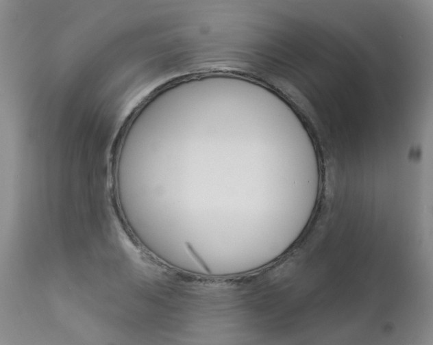 X0000112861031200908211050