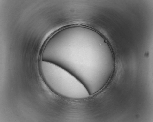 X0000112861032200908211050
