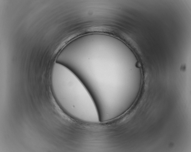 X0000112861033200908211050